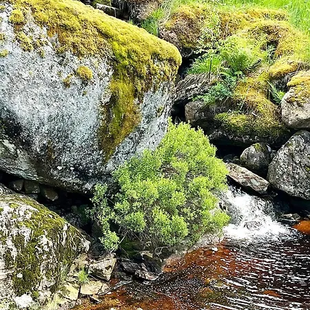 10 Person In Kvinesdal, Cleaning Included *